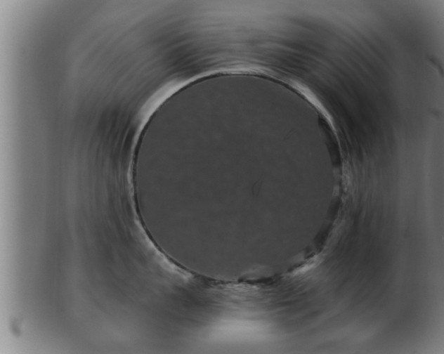 X0000103320959200809121145