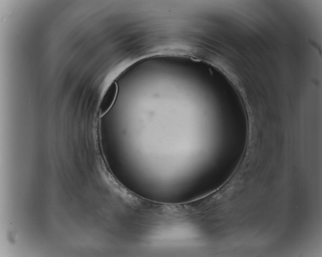 X0000103320960200809121145