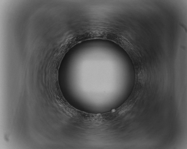 X0000103320961200809121144