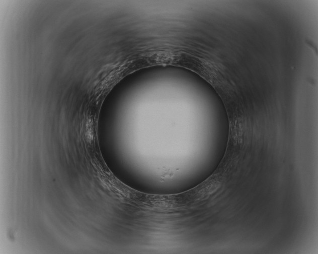 X0000103320962200809121144