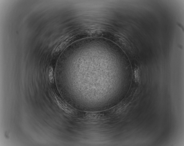 X0000103320963200809121144