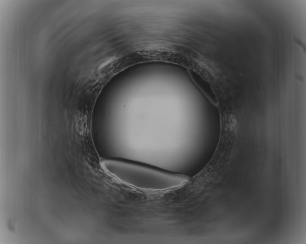 X0000103320965200809121144