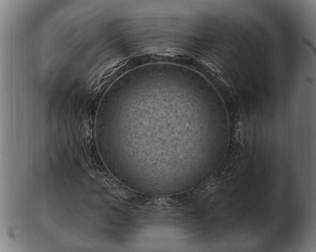 X0000103320966200809121144