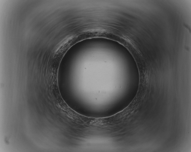 X0000103320967200809121144