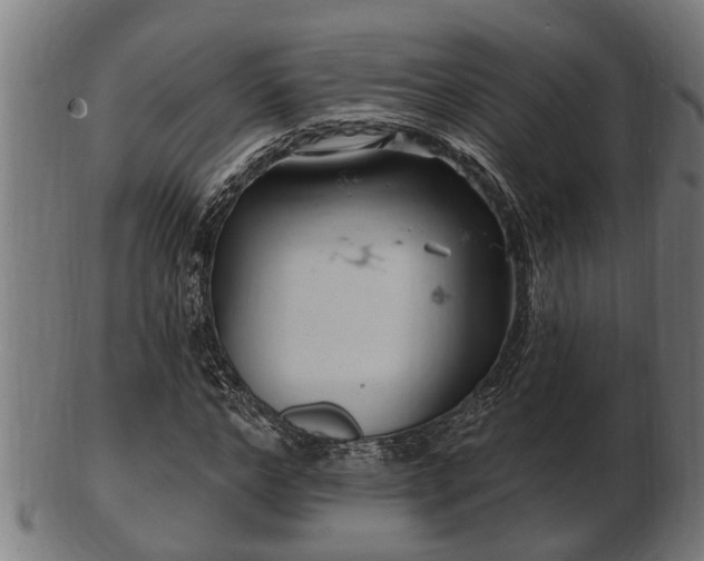 X0000103320968200809121144