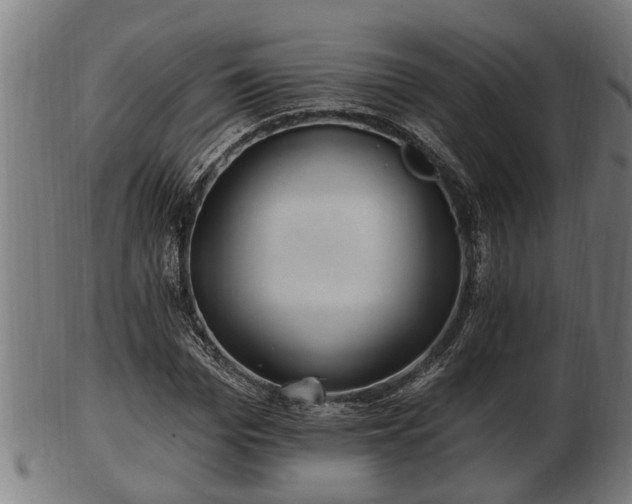 X0000103320969200809121144