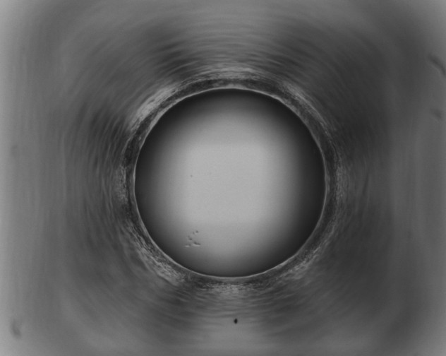 X0000103320970200809121144