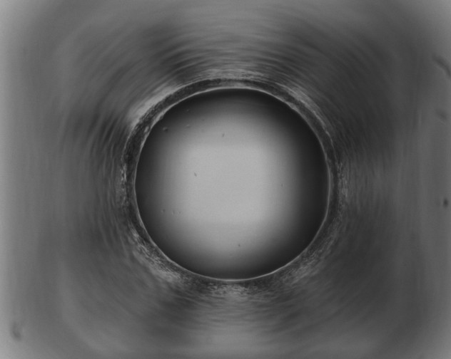 X0000103320971200809121144