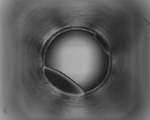 X0000103320973200809121144