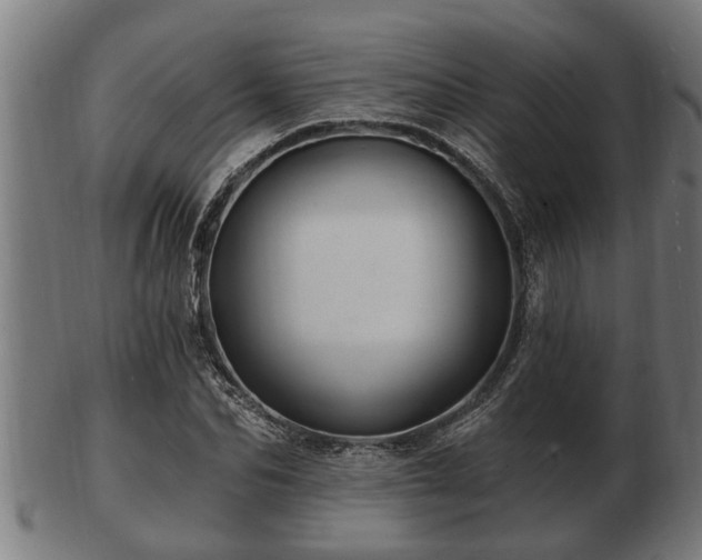 X0000103320974200809121144