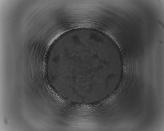 X0000103320975200809121144