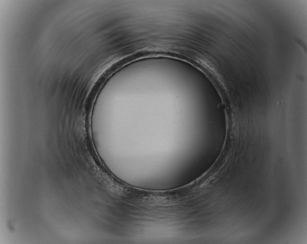 X0000103320976200809121144