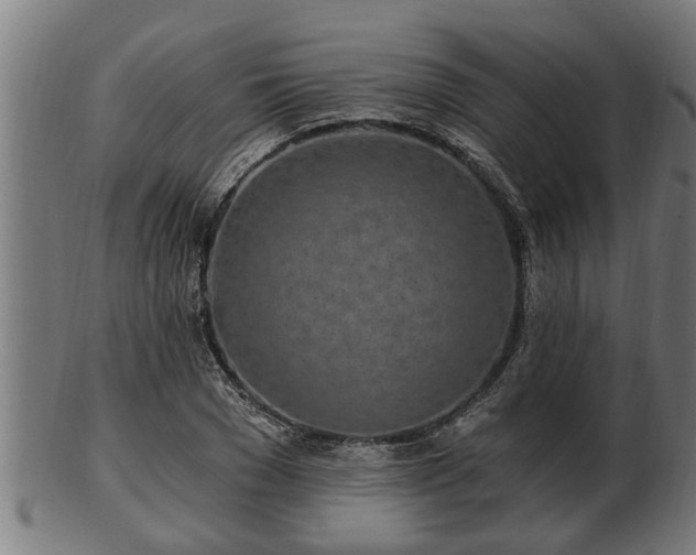 X0000103320977200809121144