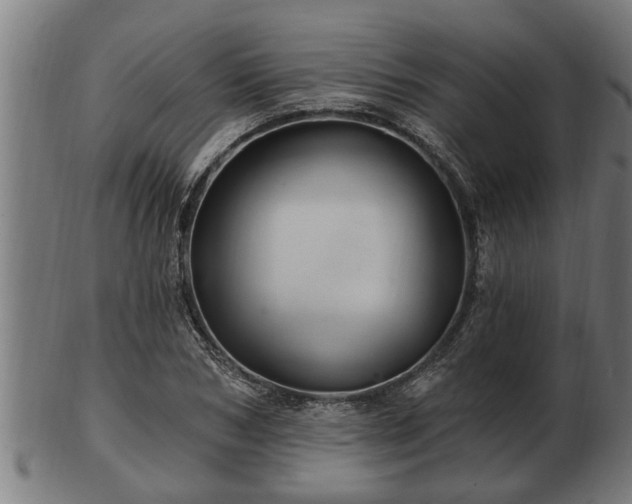 X0000103320978200809121144