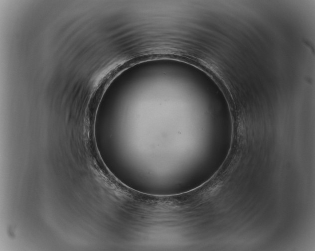 X0000103320979200809121144