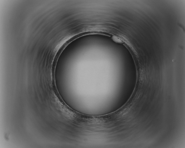 X0000103320980200809121144