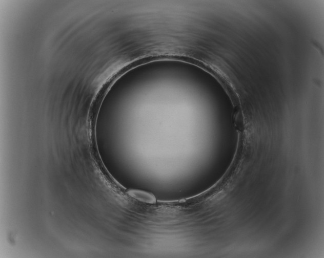 X0000103320981200809121144