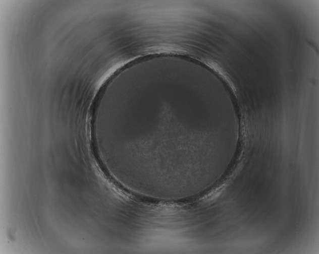 X0000103320983200809121144