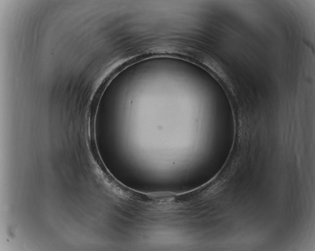 X0000103320984200809121144