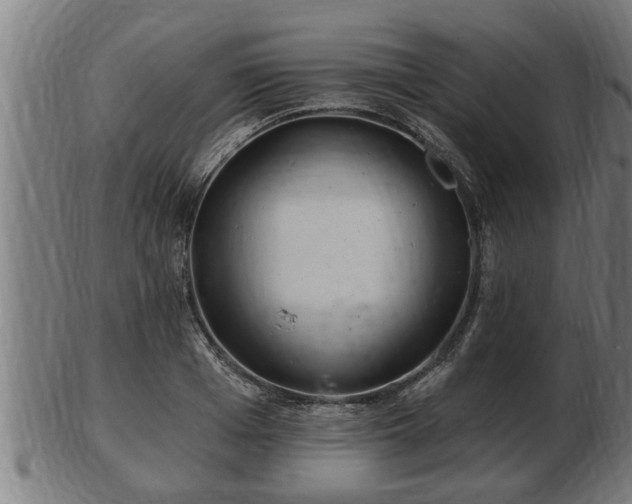 X0000103320985200809121144