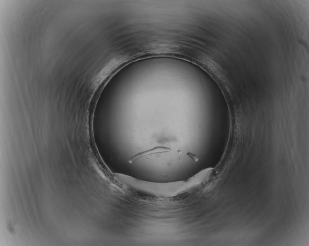 X0000103320986200809121144