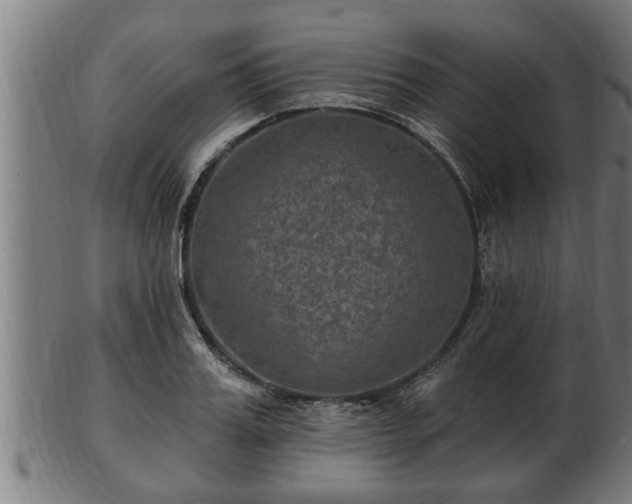 X0000103320987200809121144