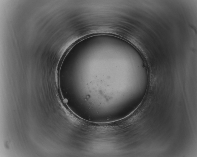 X0000103320988200809121144