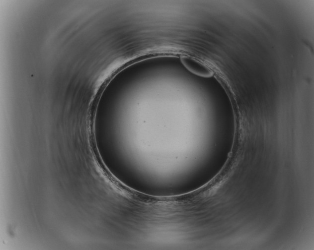 X0000103320989200809121144