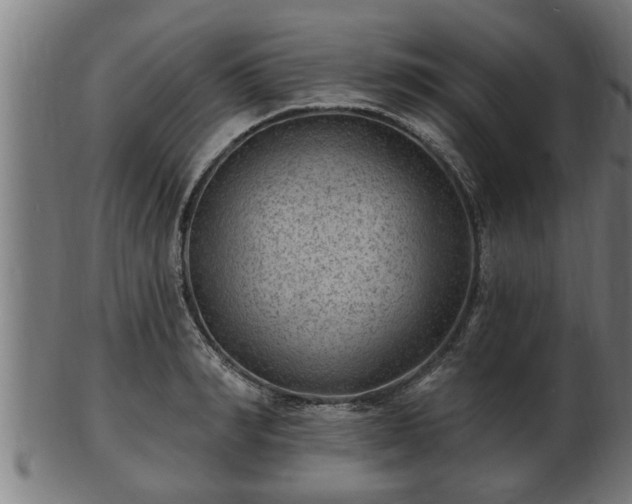 X0000103320990200809121144