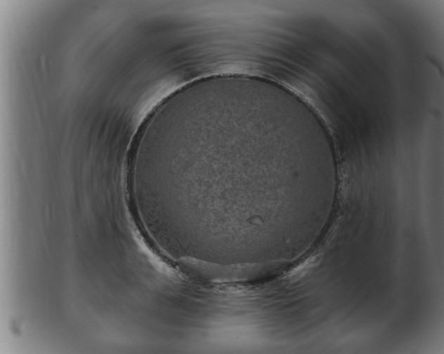 X0000103320991200809121144