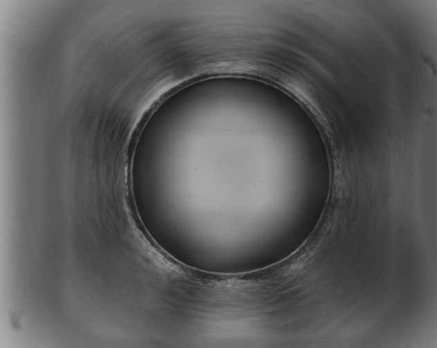 X0000103320992200809121144