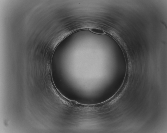 X0000103320993200809121144