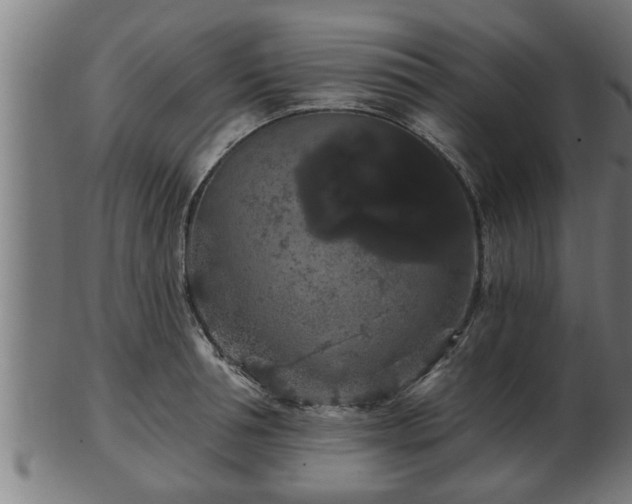 X0000103320994200809121144