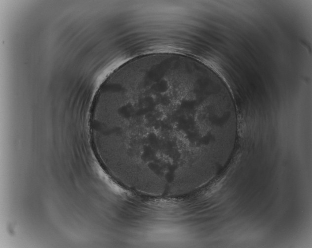 X0000103320995200809121144