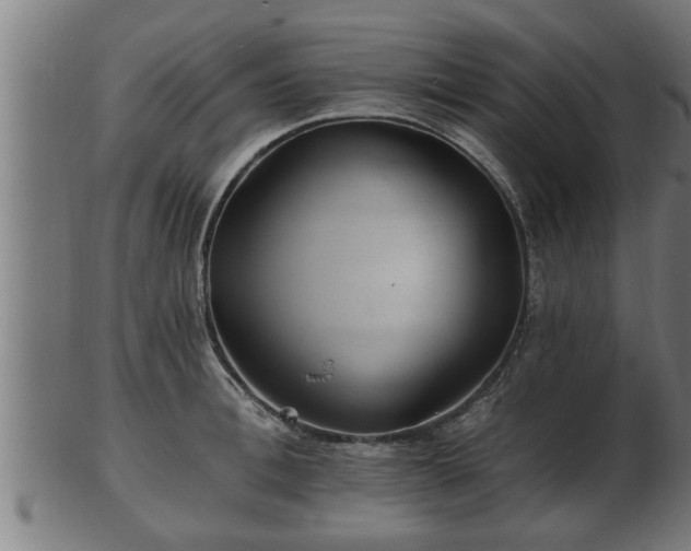 X0000103320996200809121144