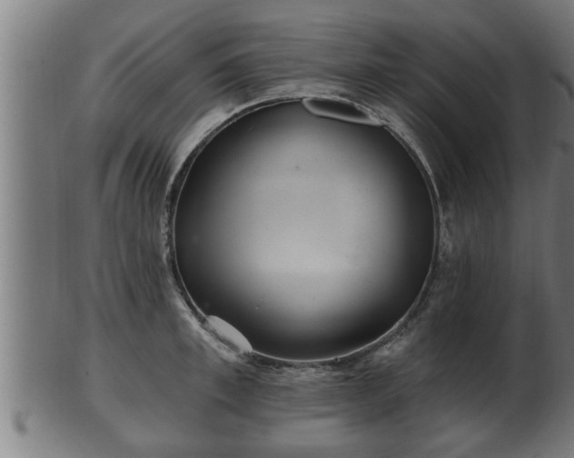 X0000103320997200809121144