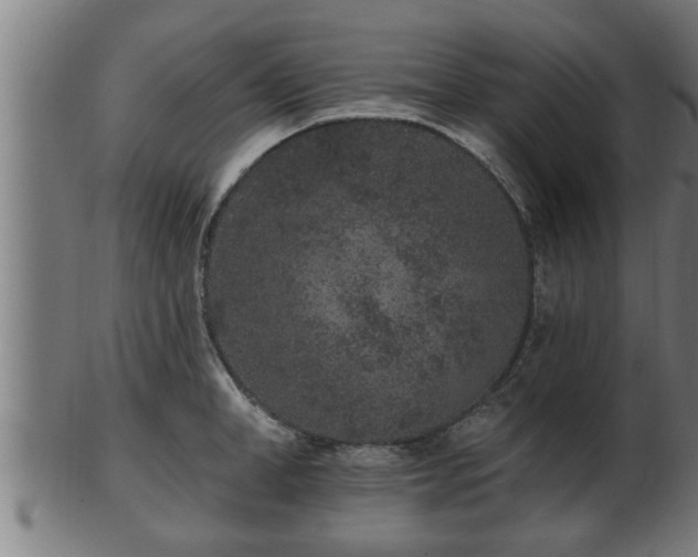 X0000103320998200809121144