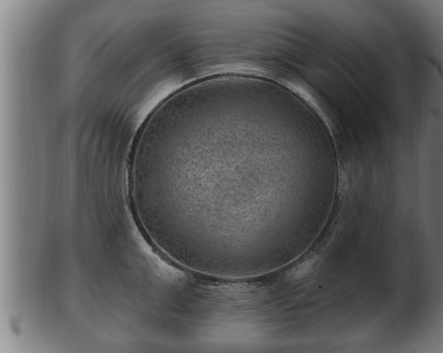 X0000103320999200809121144