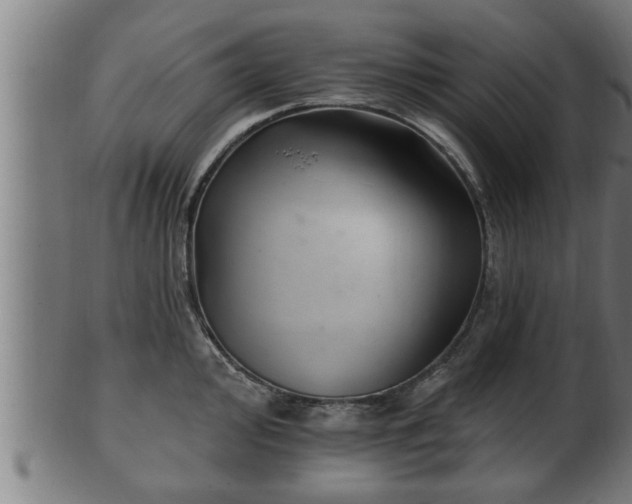 X0000103321000200809121144