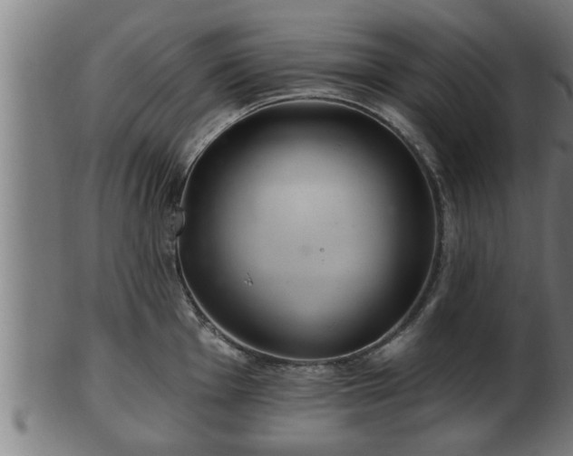 X0000103321001200809121144