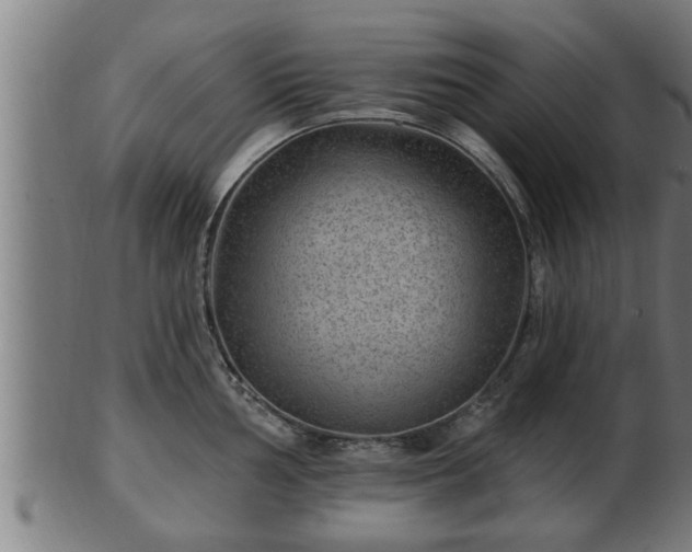 X0000103321002200809121144