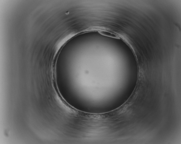 X0000103321003200809121144