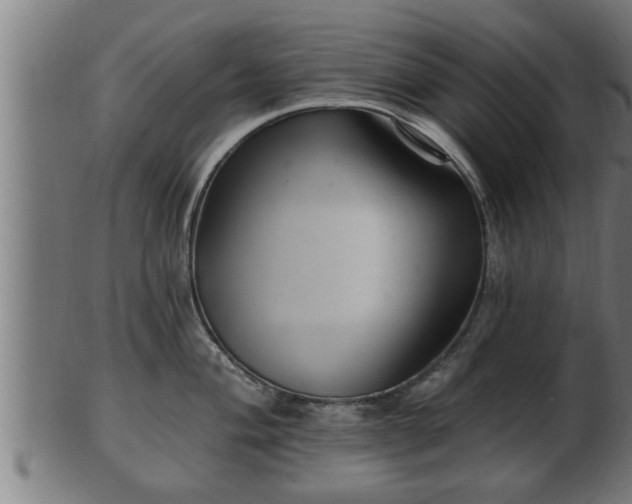 X0000103321004200809121144