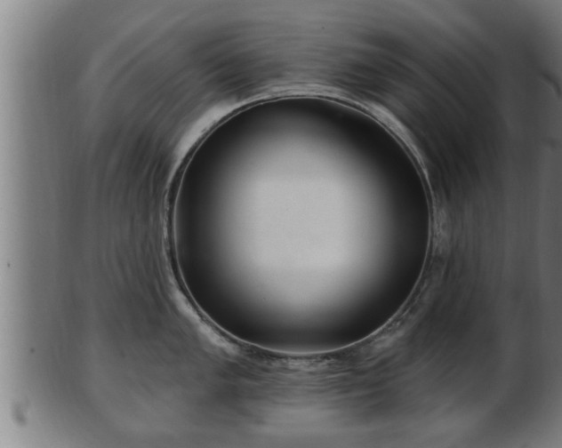 X0000103321005200809121144