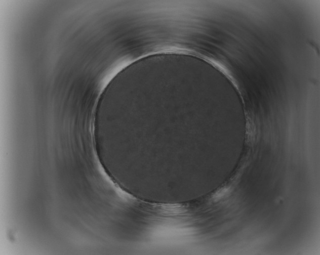 X0000103321007200809121144