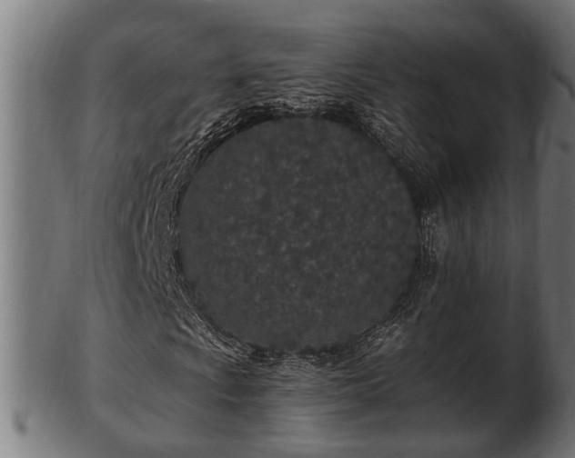 X0000103321009200809121143