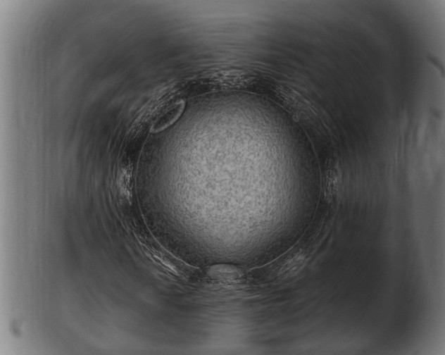 X0000103321010200809121143