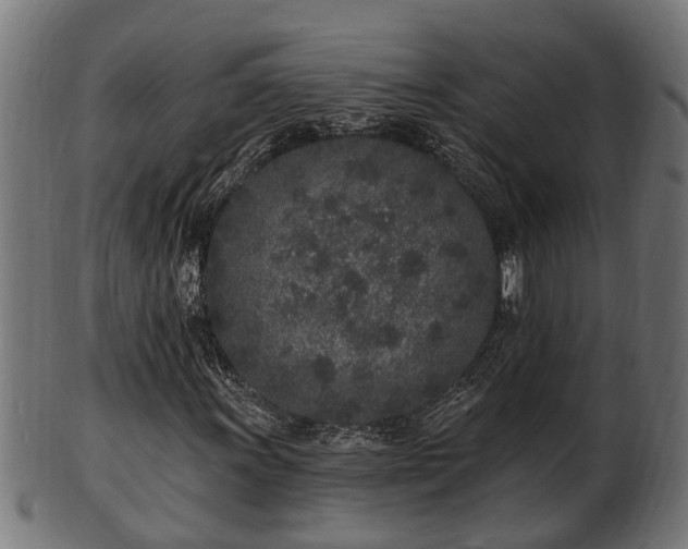 X0000103321011200809121143