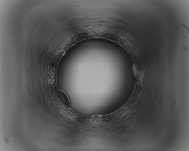 X0000103321012200809121143