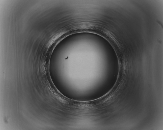 X0000103321018200809121143